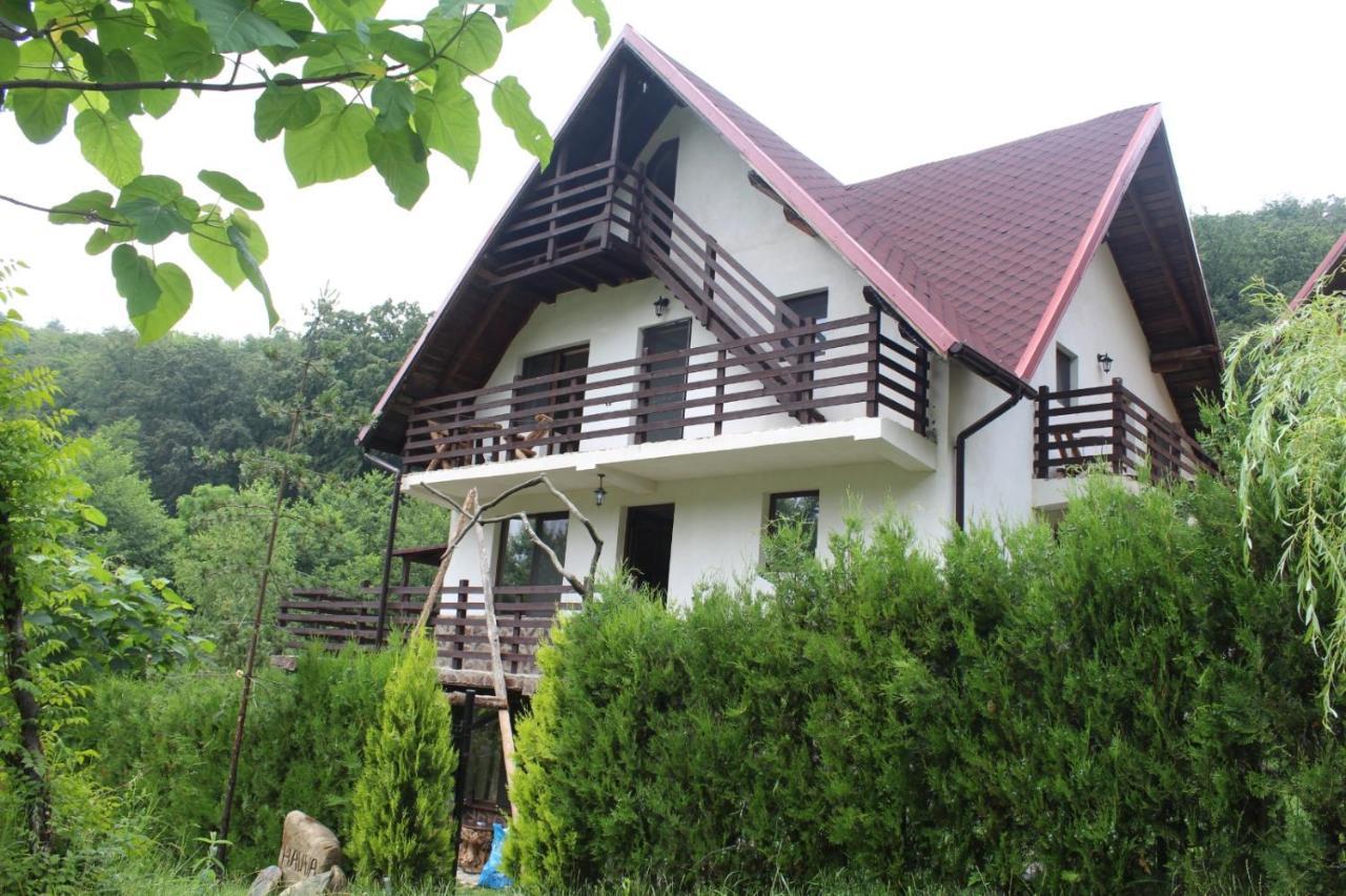 Havva Hotel Calimanesti Exterior photo
